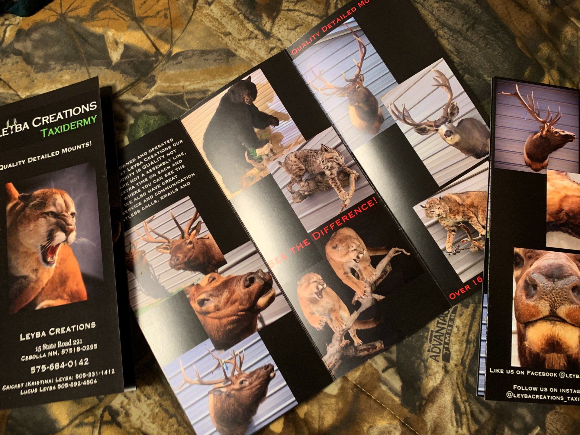A brochure with a picture of a cougar and deer on it