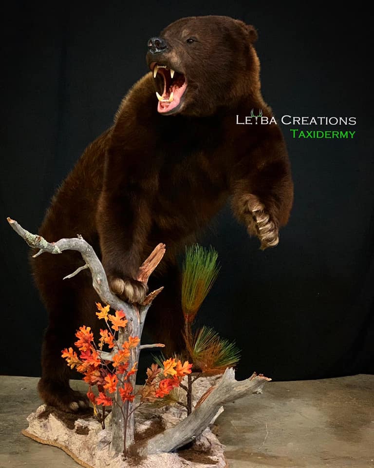 A stuffed brown bear is standing on a tree branch with its mouth open.