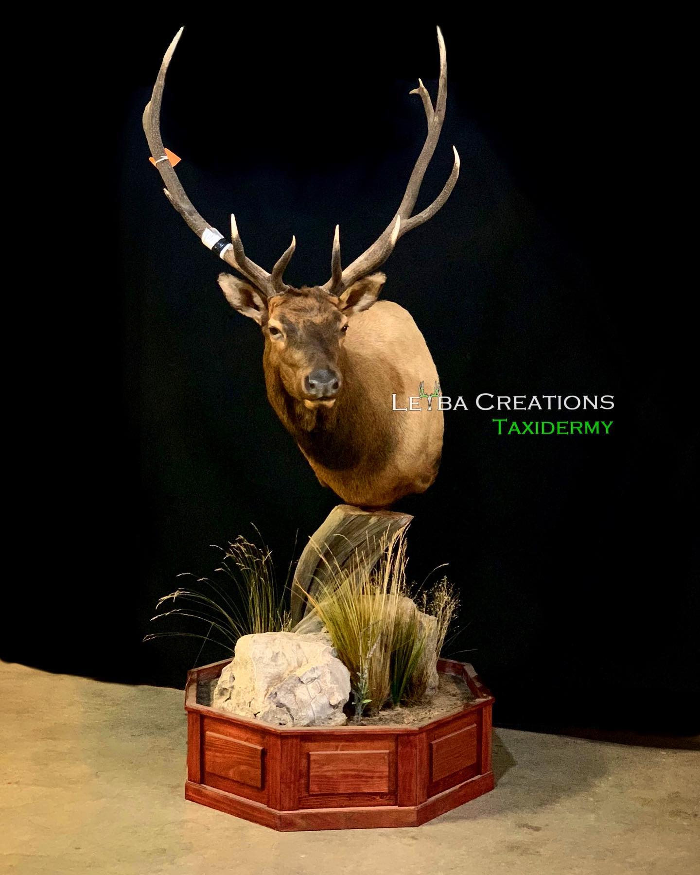 A stuffed elk head is sitting on top of a wooden base.