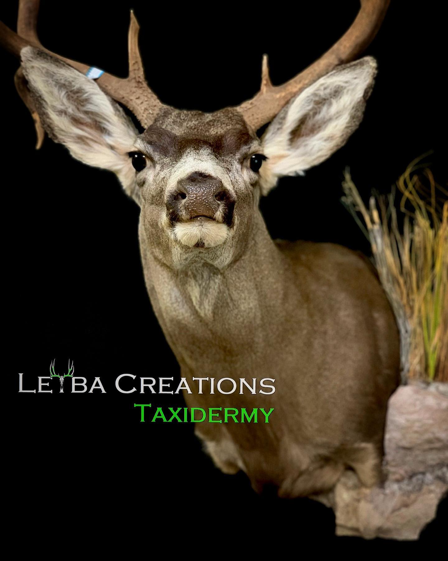 A stuffed deer is sitting on a rock and looking at the camera.
