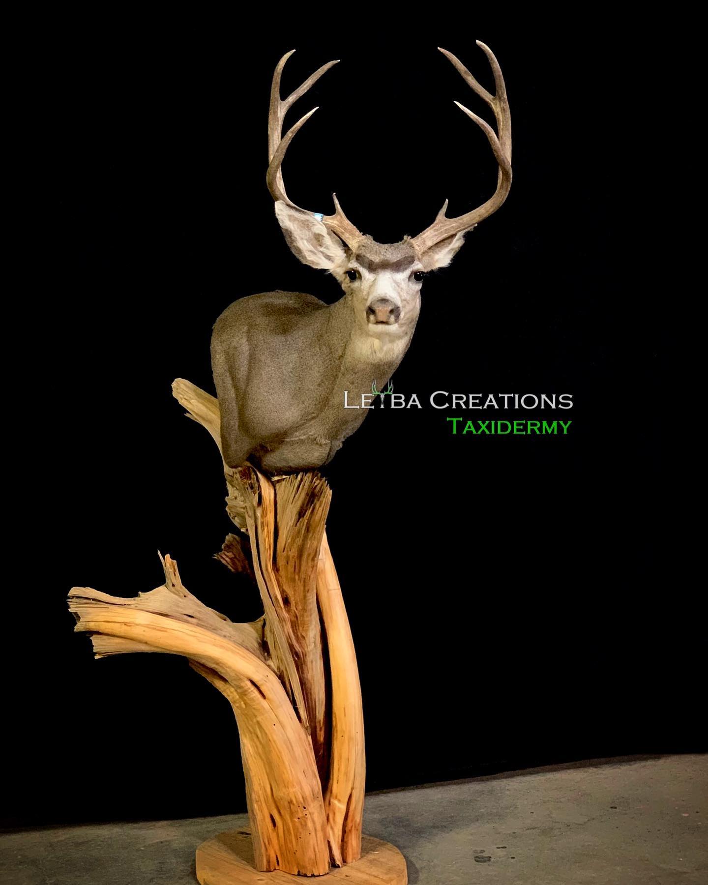 A stuffed deer is sitting on top of a tree branch.