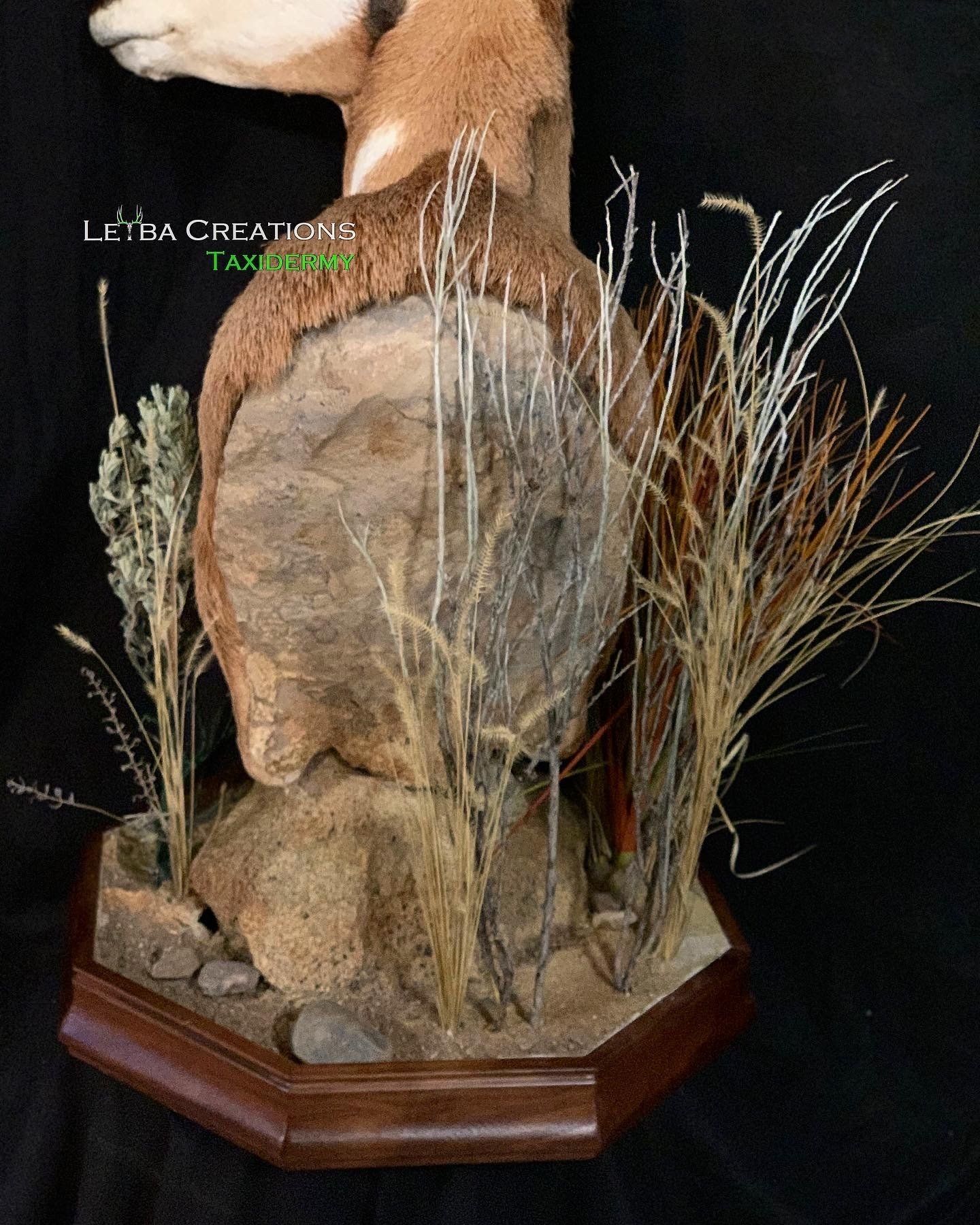 A statue of a deer is on a wooden base