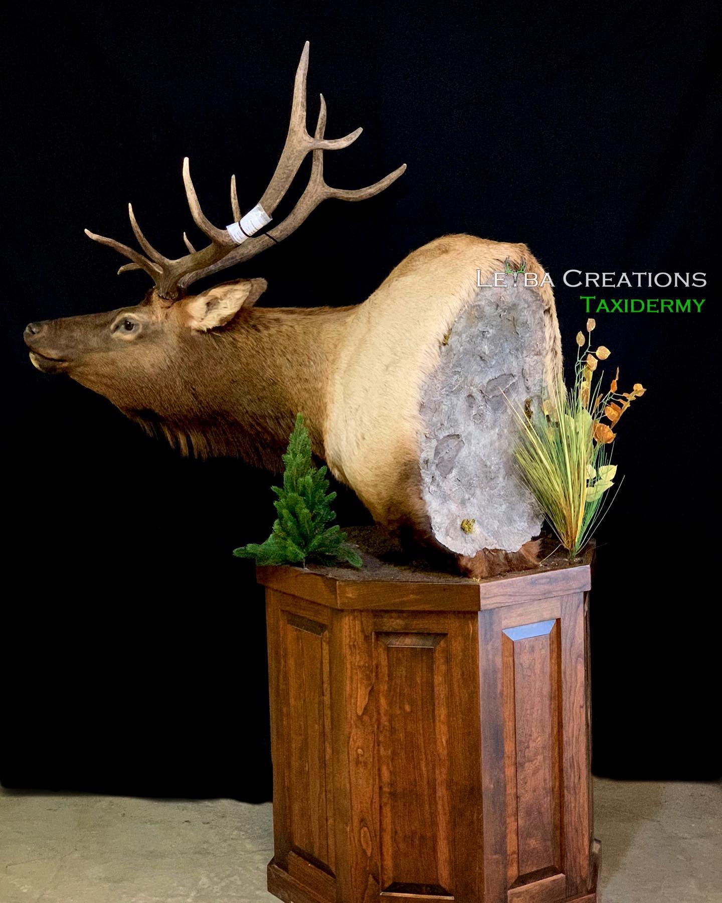 A stuffed elk head is sitting on top of a wooden pedestal.