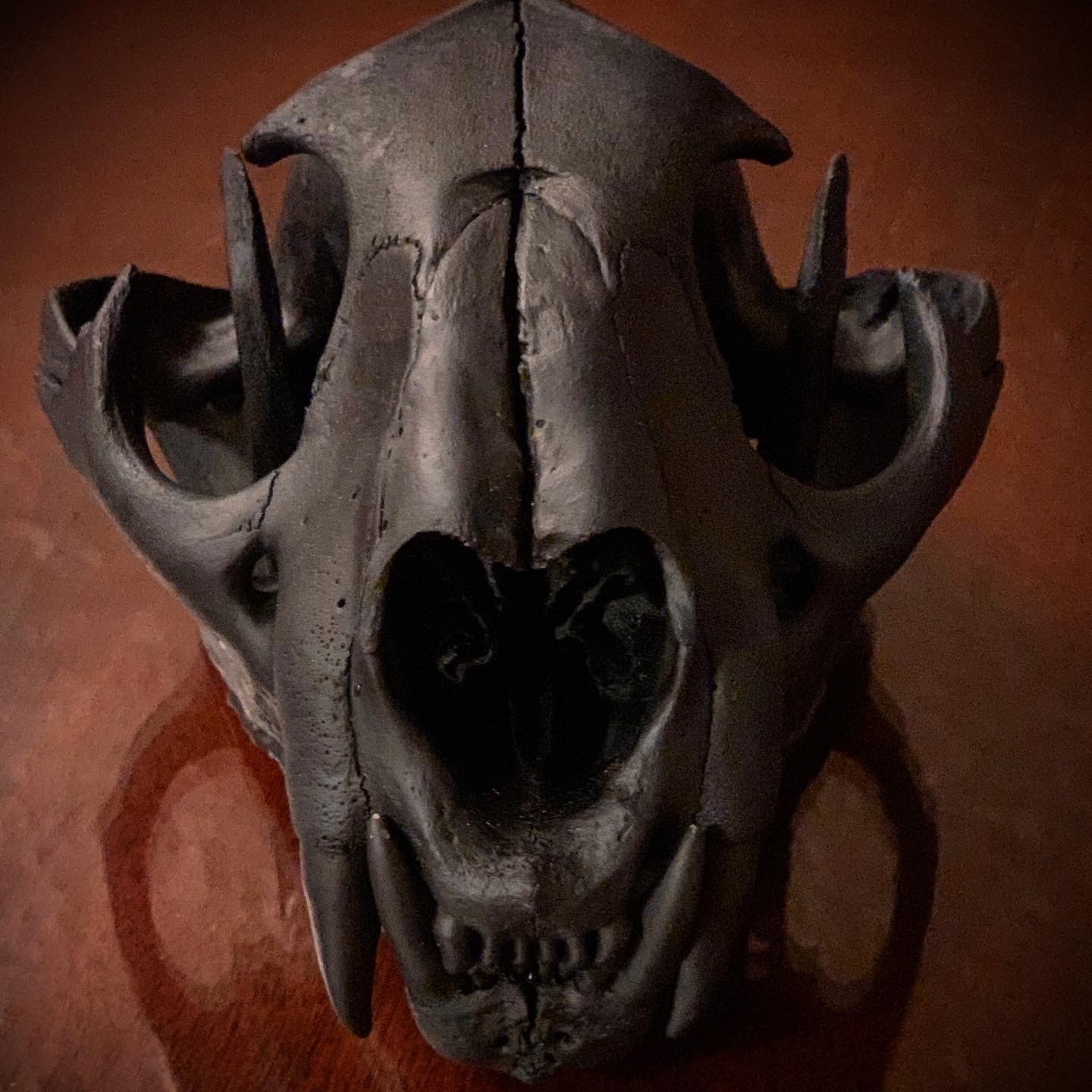 A close up of a black skull with sharp teeth