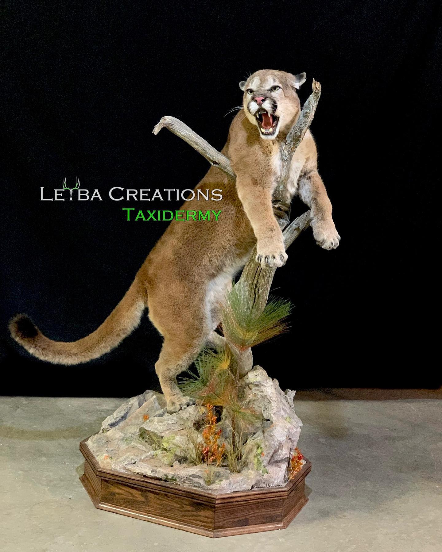 A stuffed mountain lion is standing on a tree branch.