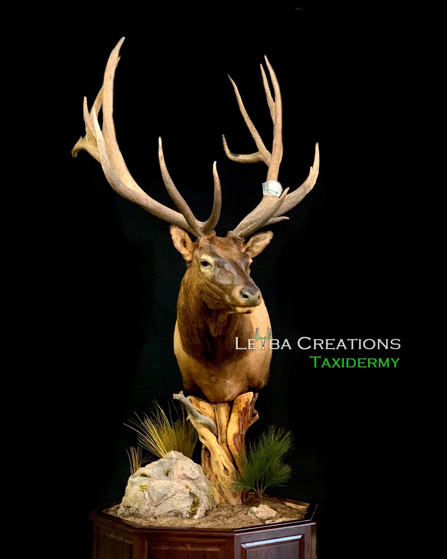 A stuffed elk is sitting on top of a wooden stump.