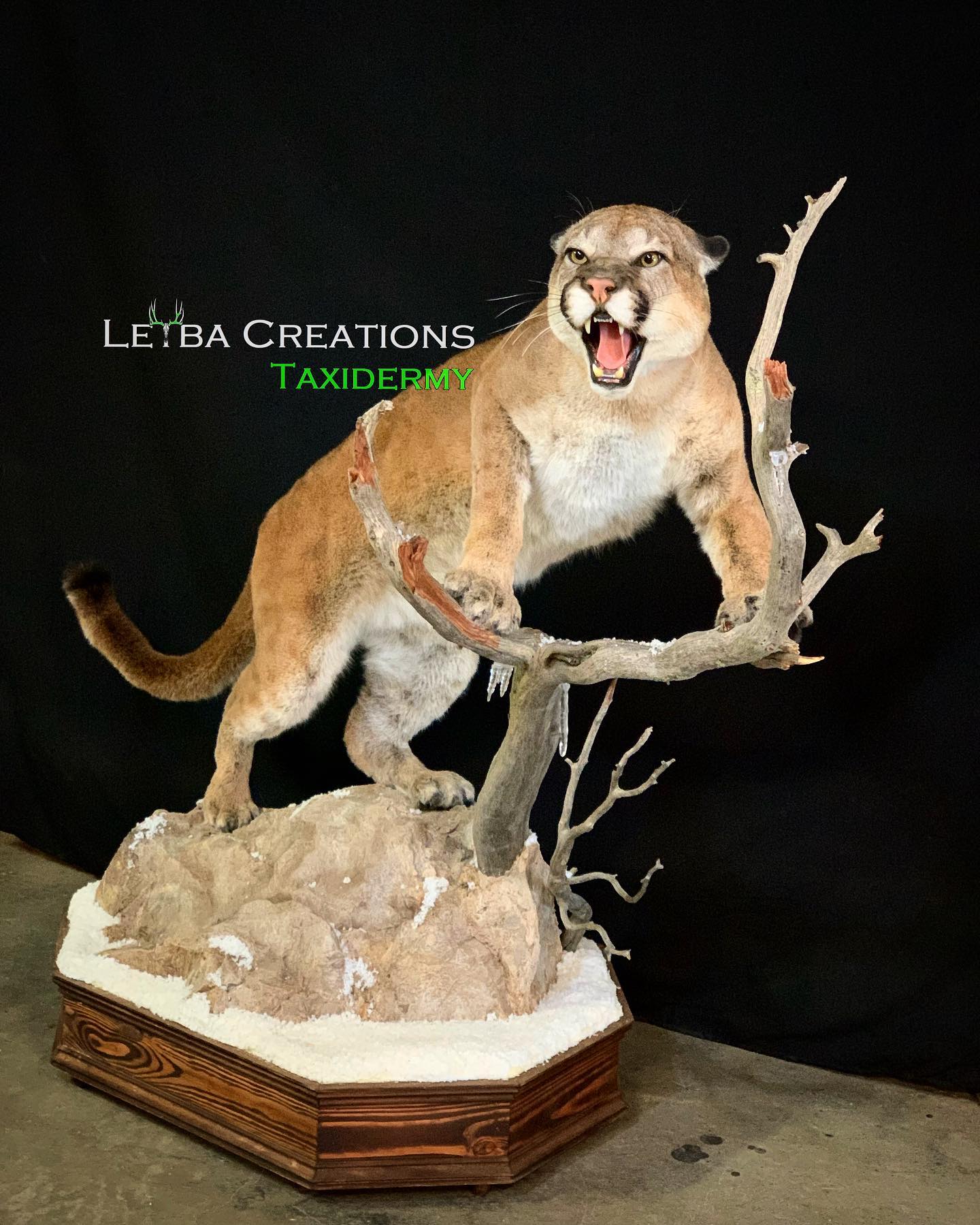 A stuffed mountain lion is standing on a tree branch.