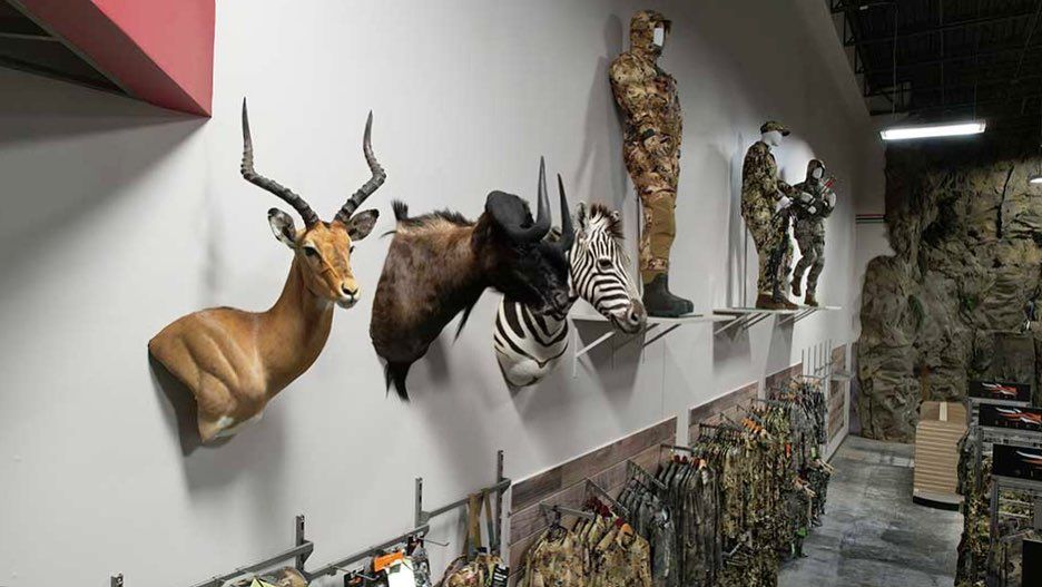 A row of stuffed animals are hanging on a wall in a store.