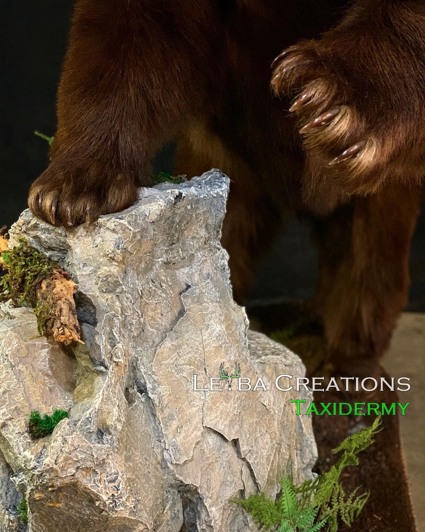 A brown bear is standing on top of a rock.