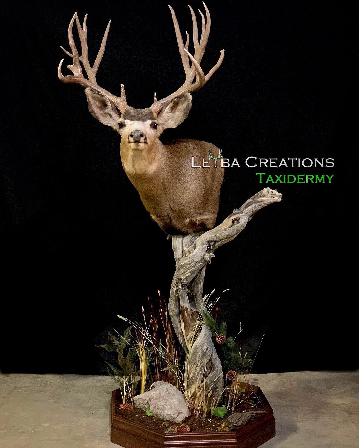 A stuffed deer is sitting on a tree branch.