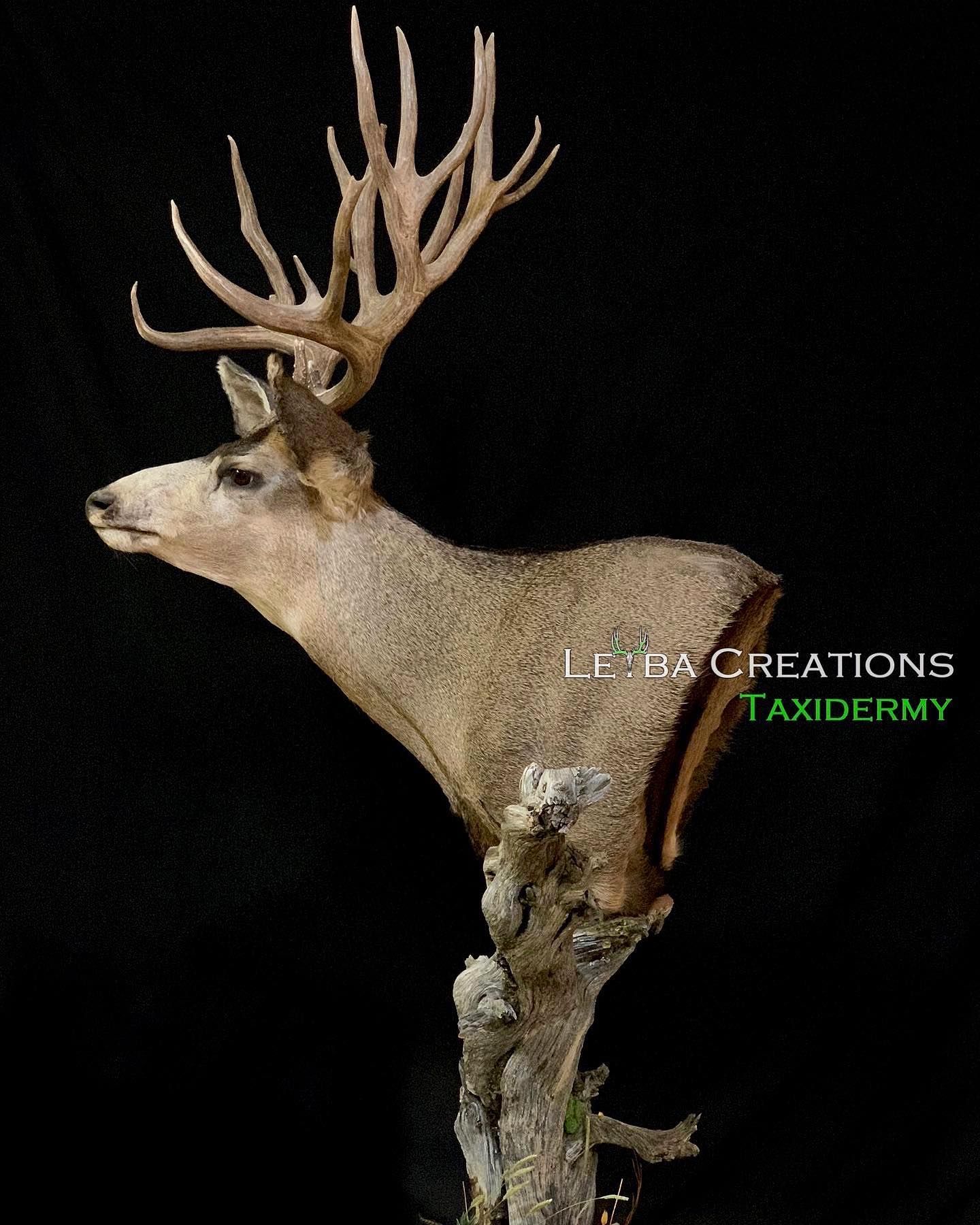 A stuffed deer head is sitting on top of a tree branch.