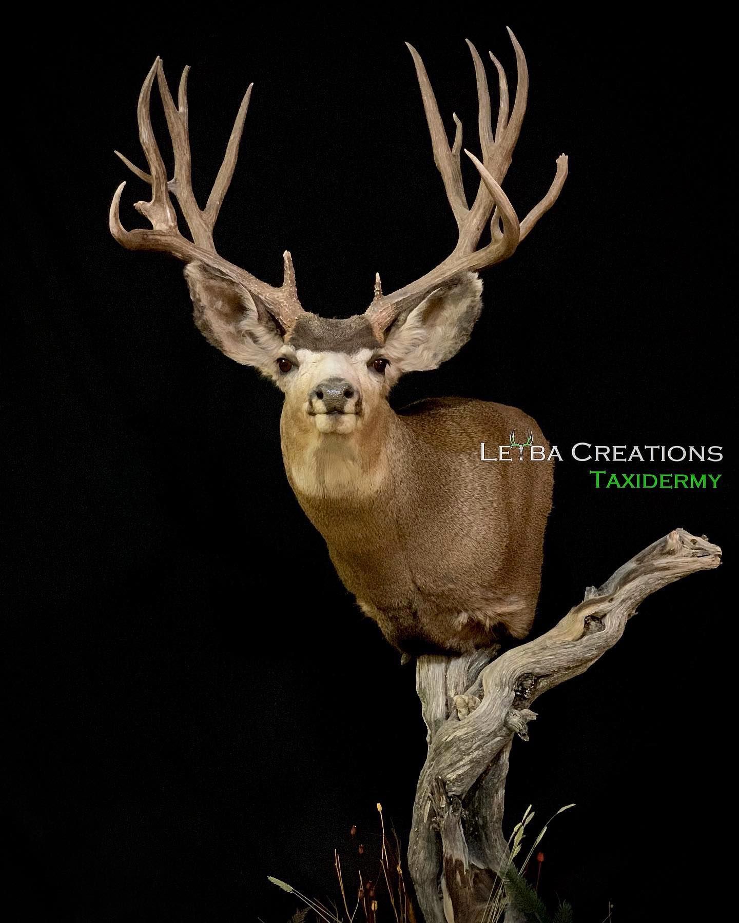 A stuffed deer is sitting on a tree branch.