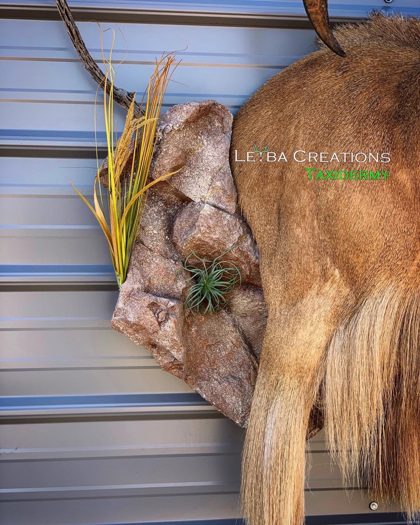 A close up of a yak 's head with plants growing out of it.