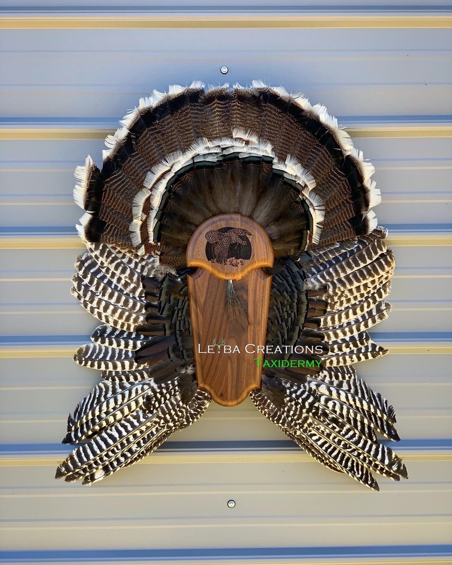 A turkey head mounted on a wooden plaque on a wall.