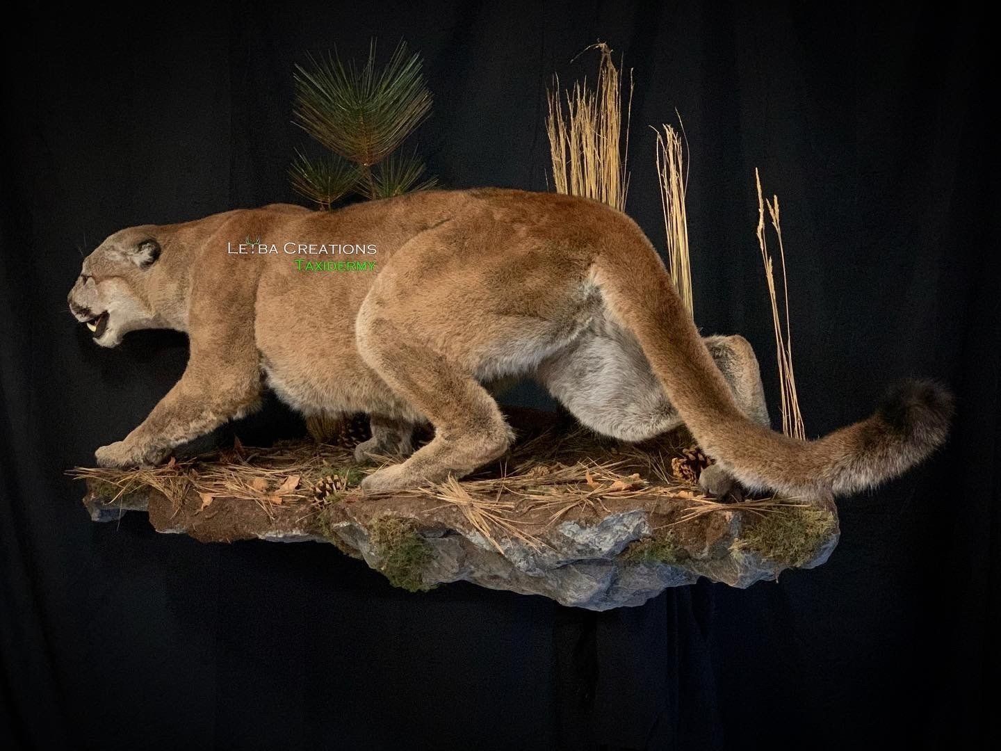 A stuffed mountain lion is sitting on top of a rock.
