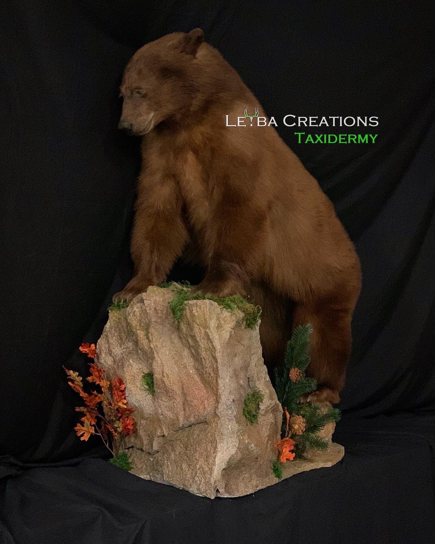 A brown bear is standing on top of a rock.