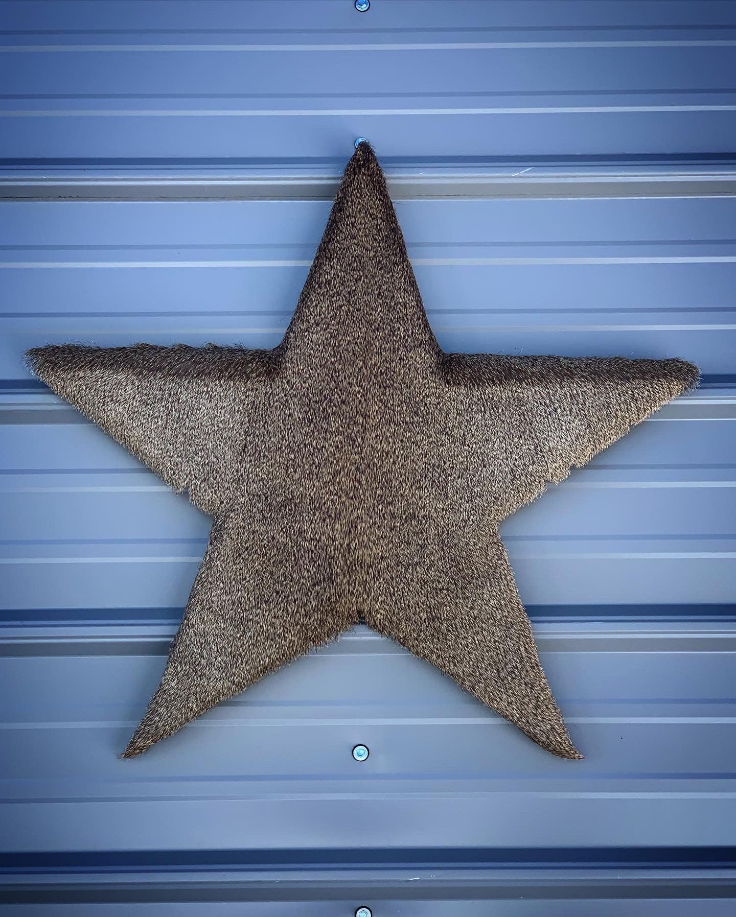 A gold star is hanging on a metal wall