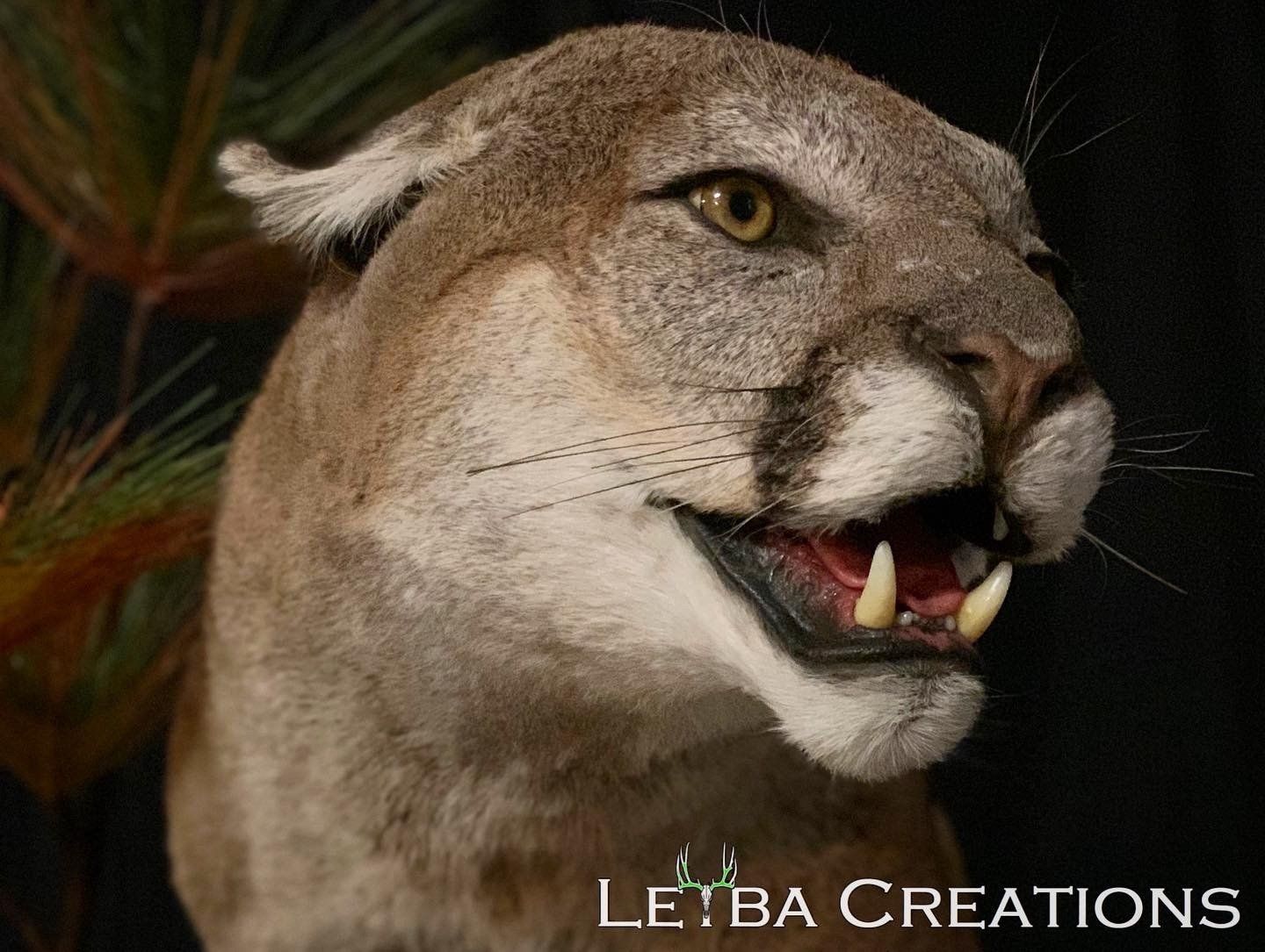 A close up of a stuffed mountain lion with the words letba creations below it