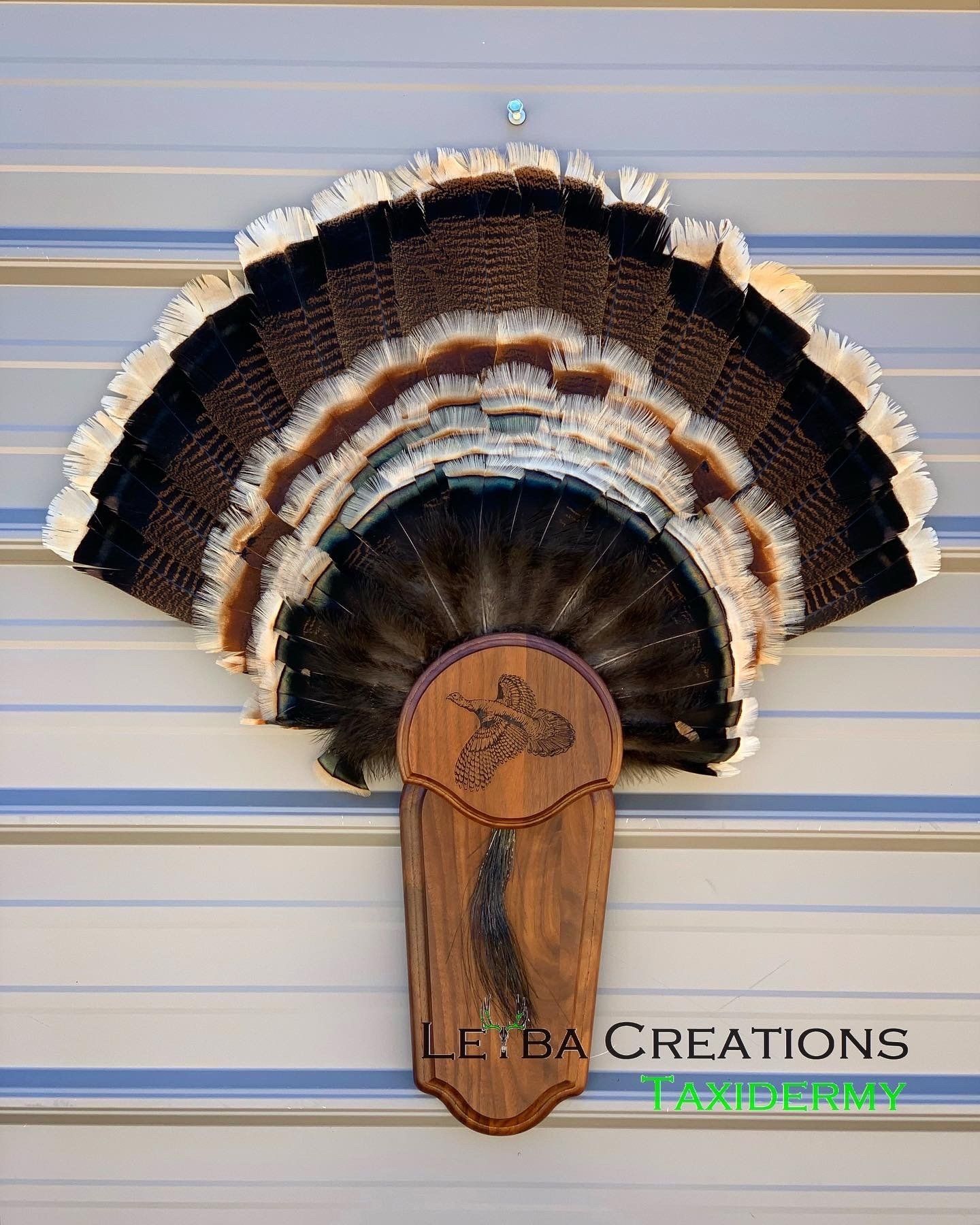A fan made of turkey feathers is hanging on a wall.
