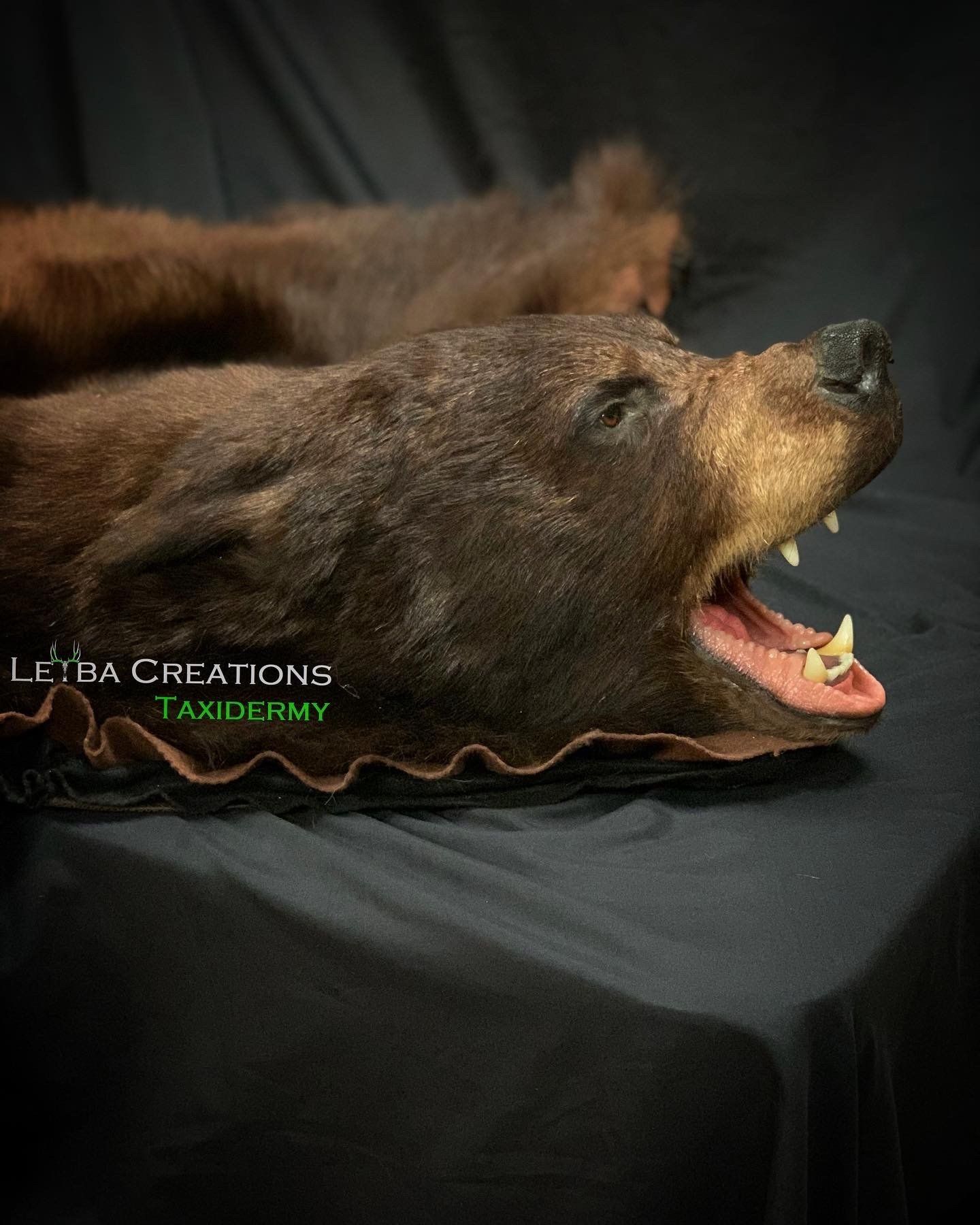 A stuffed bear head is laying on a bed with its mouth open.