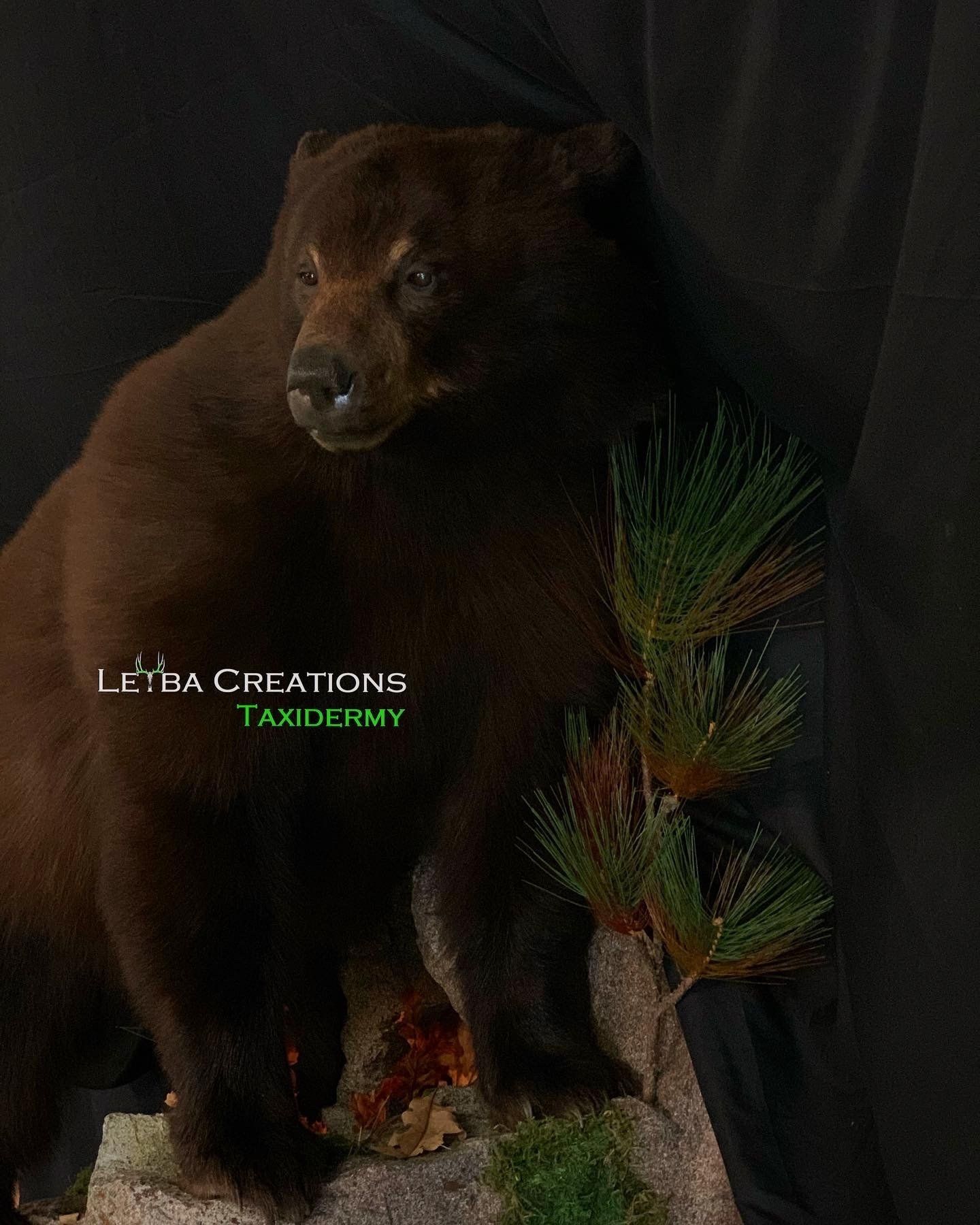 A stuffed brown bear is sitting on top of a rock.