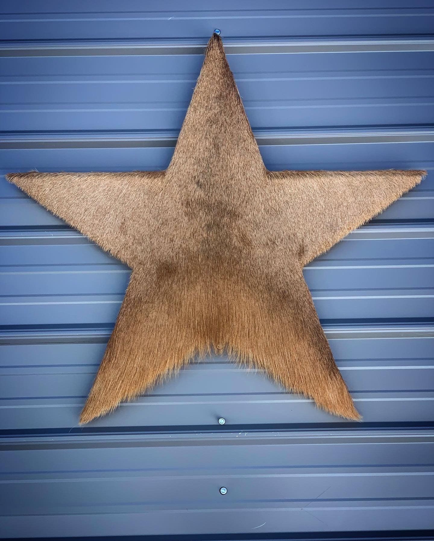 A brown star is hanging on a blue wall