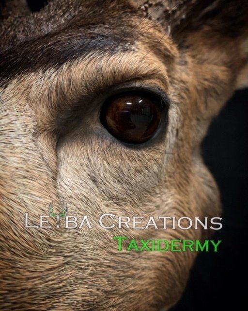 A close up of a deer 's eye with the words le ba creations taxdermy on the bottom