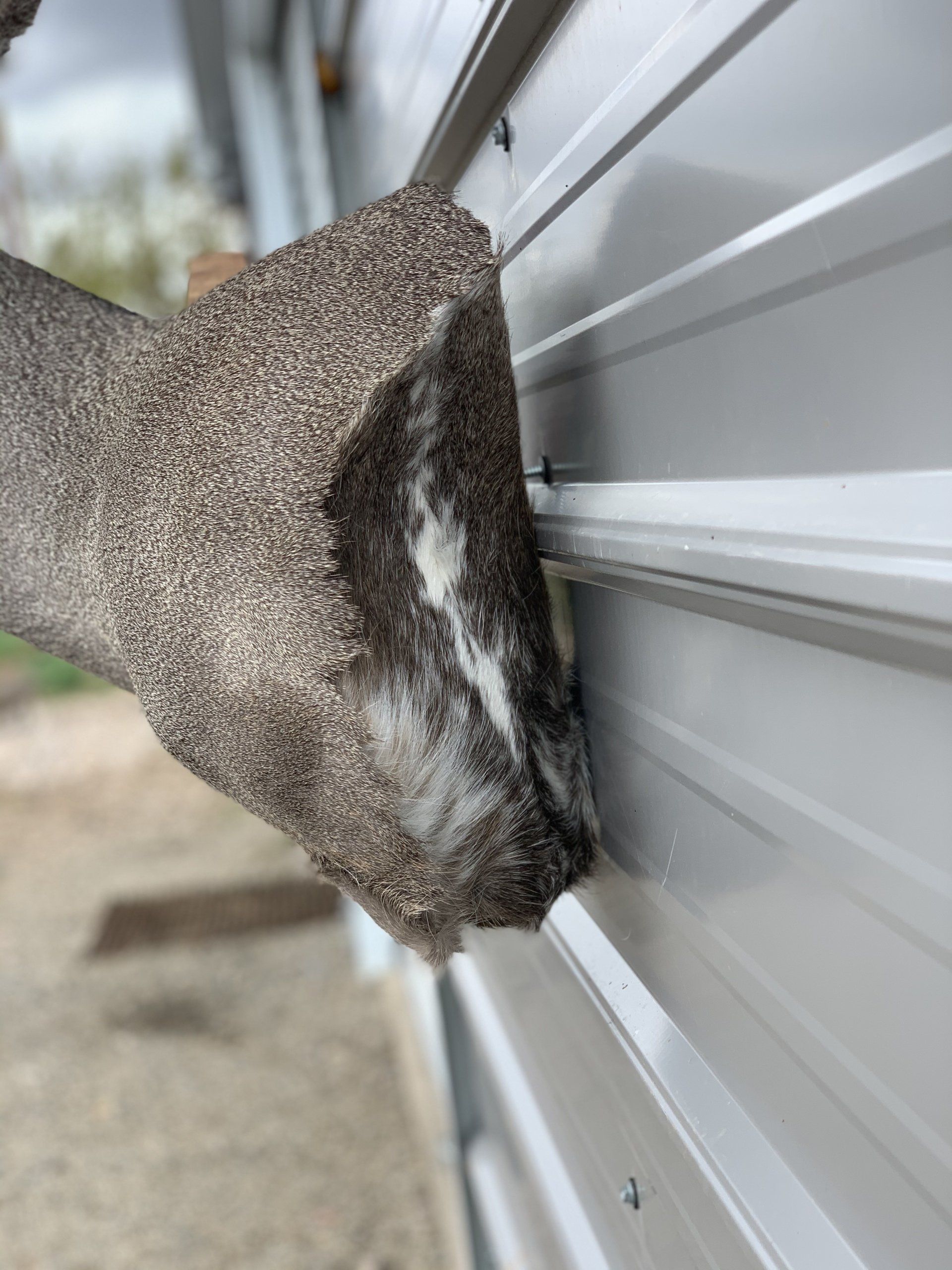 A person is cleaning a wall with a sponge.