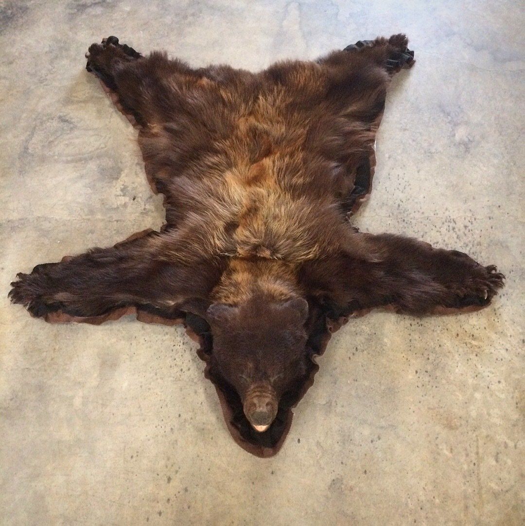 A brown bear laying on its back on a concrete floor
