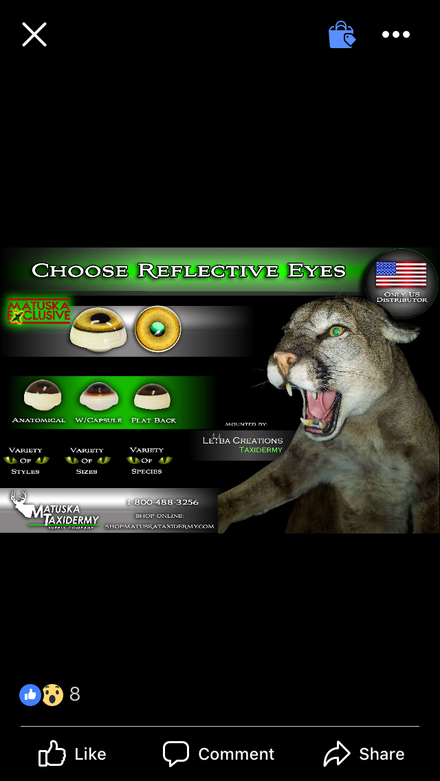 A picture of a cat with its mouth open.