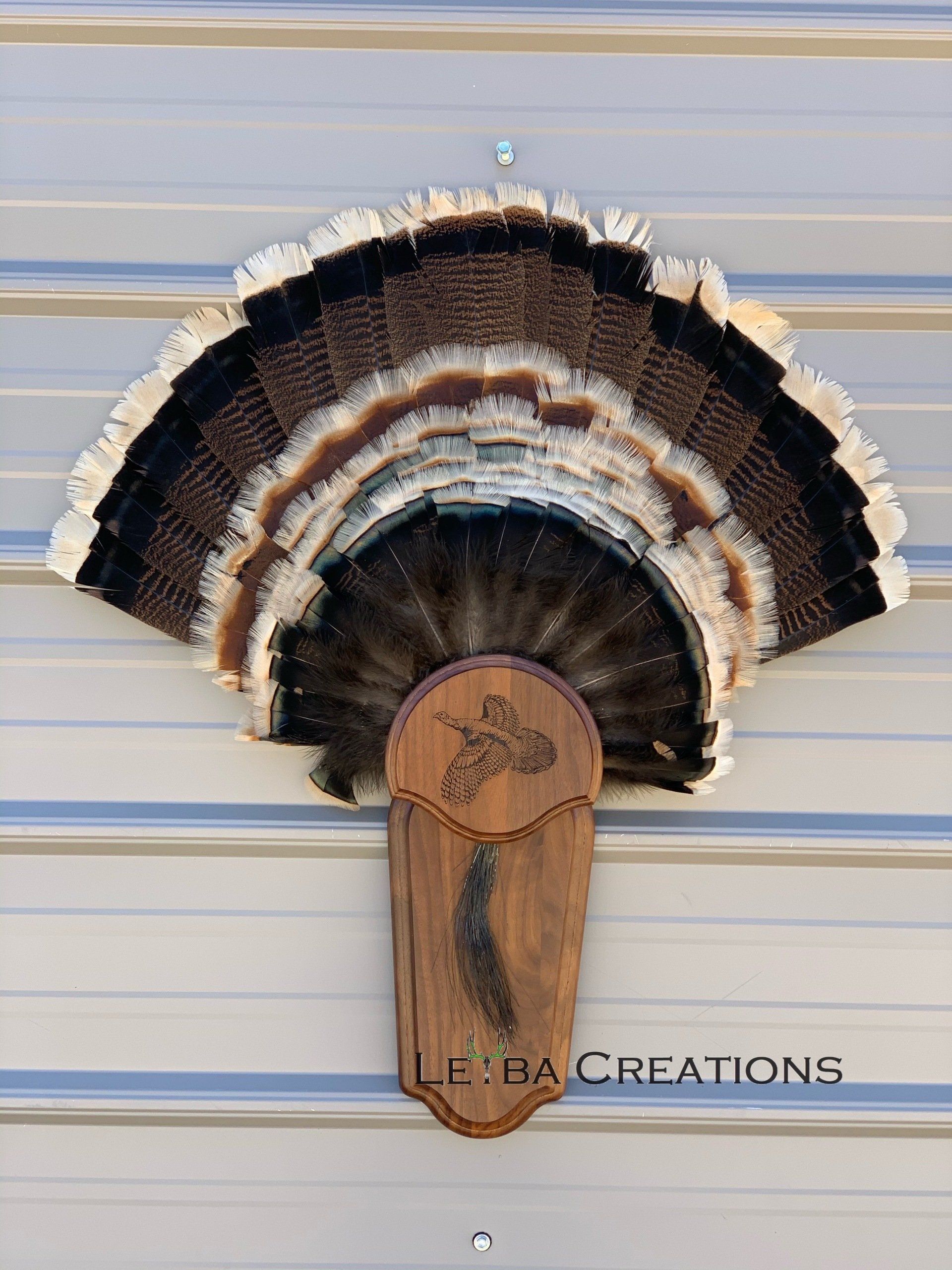 A turkey fan is hanging on a metal wall.