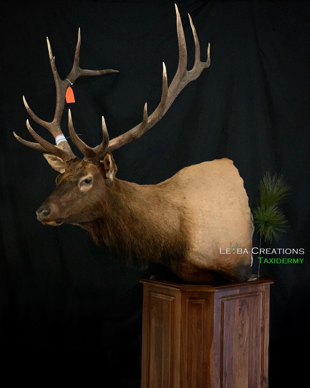 A stuffed elk is sitting on top of a wooden block.