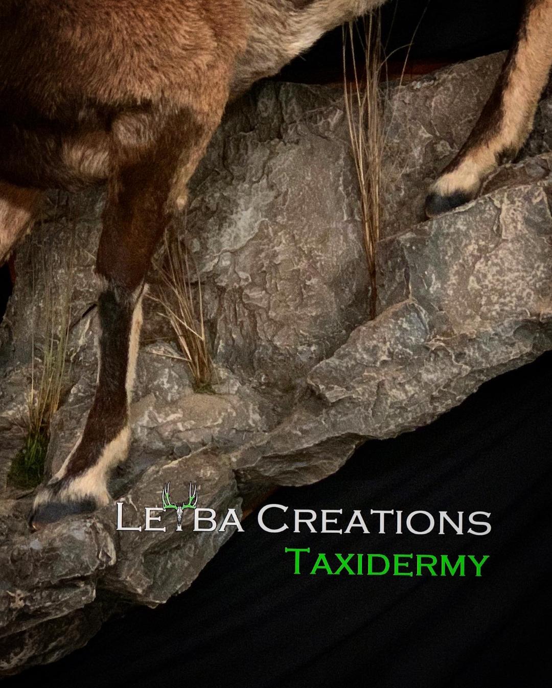 A taxidermy of a deer standing on top of a rock.
