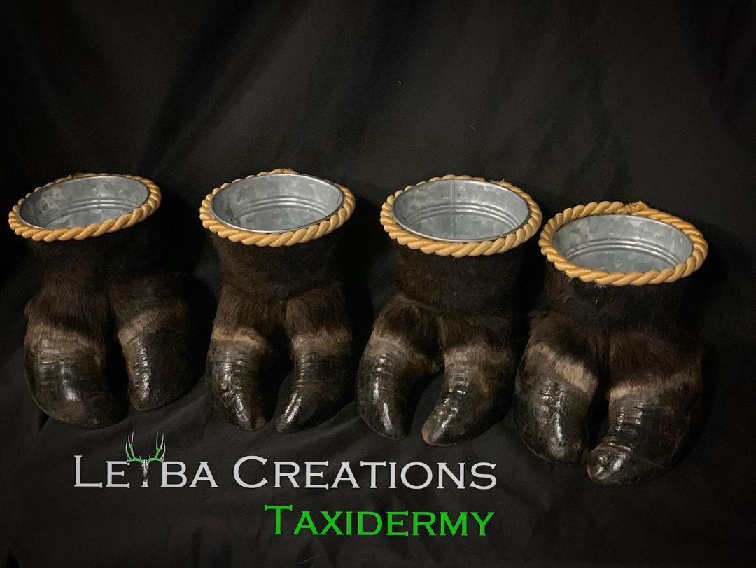 A group of containers made to look like a bear 's paws