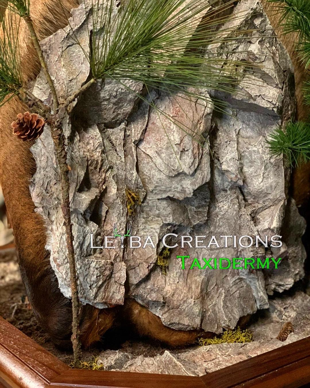 A close up of a tree in a pot with a rock in the background.