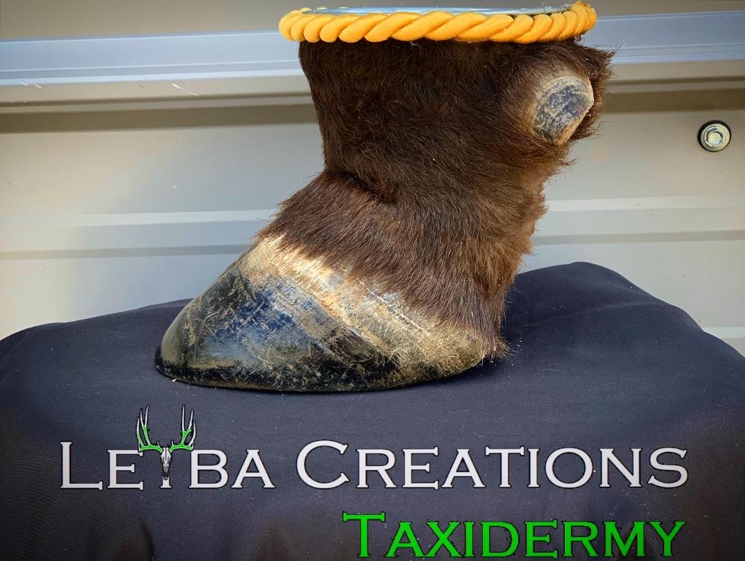 A horse 's hoof with a rope around it is sitting on a black blanket.