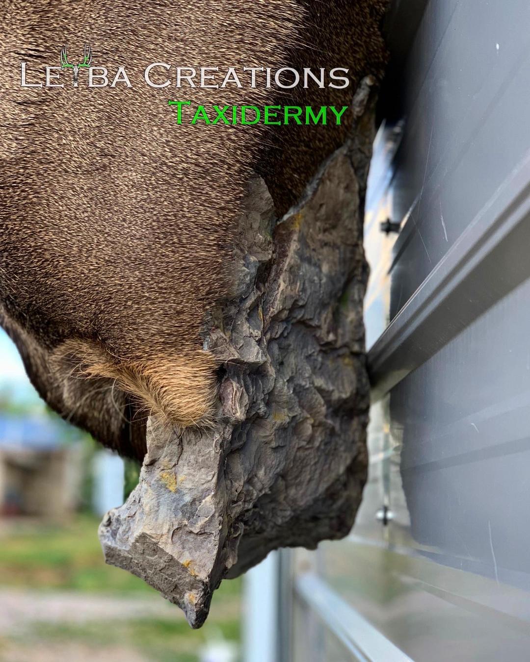 A large rock is hanging from the side of a building.