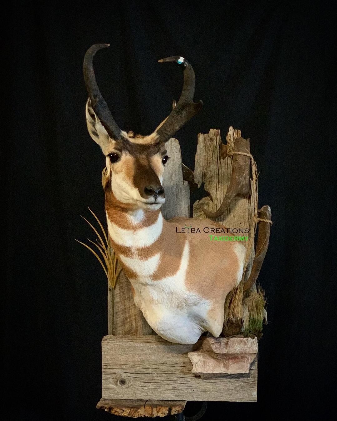 A stuffed antelope is sitting on a piece of wood.