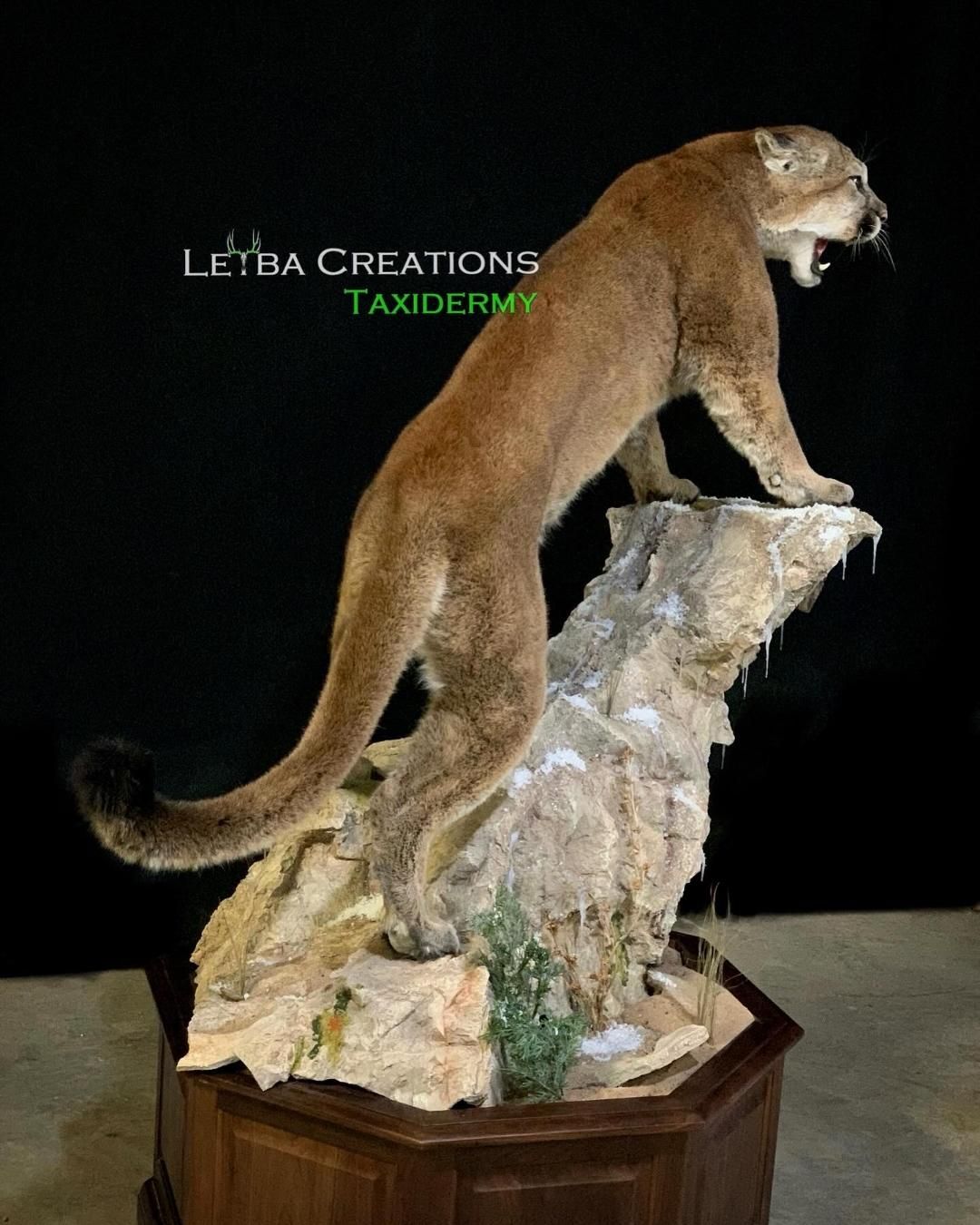 A stuffed mountain lion is standing on top of a rock.