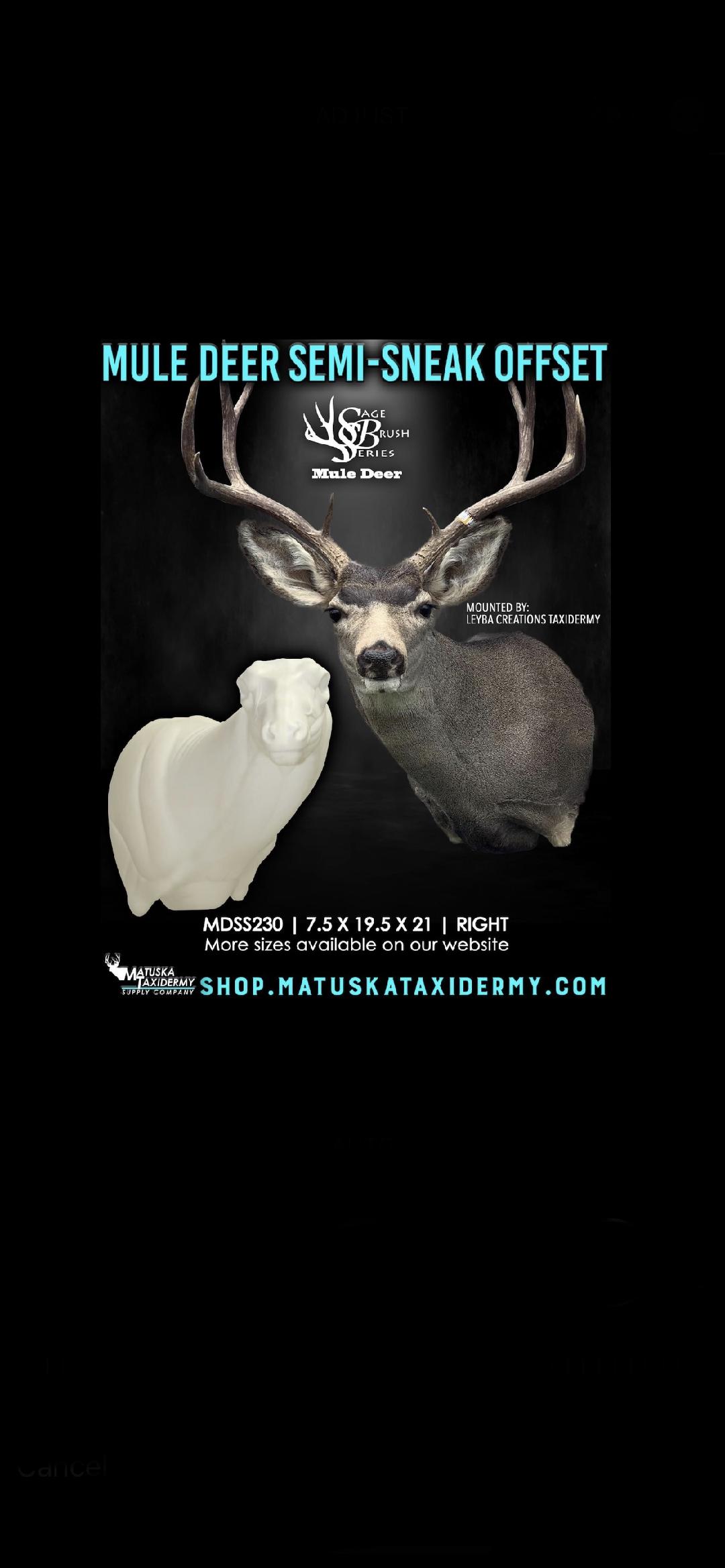 A picture of a deer and a sheep on a black background.