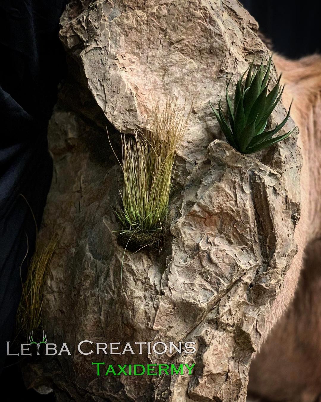 A large rock with plants growing out of it.