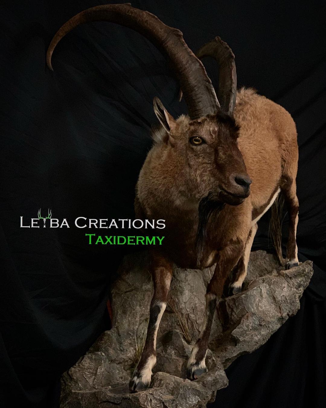 A stuffed goat with long horns is standing on a rock.