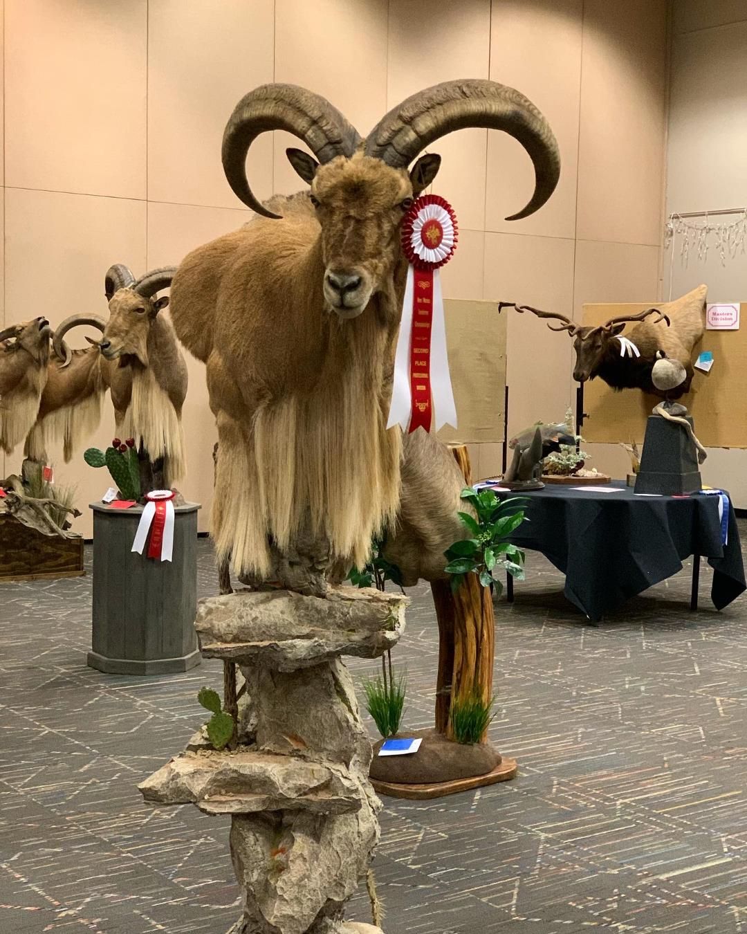 A stuffed goat with horns is sitting on a rock in a room.