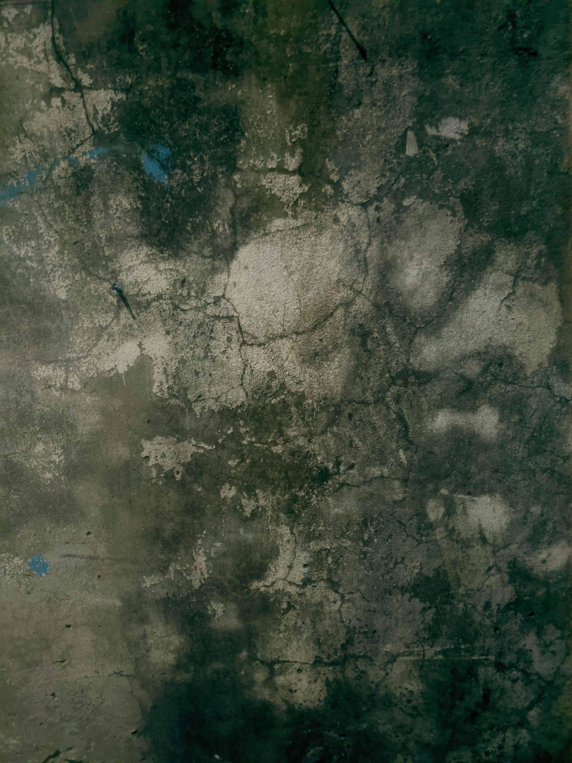 Textured, weathered concrete wall with mottled green, gray, and blue coloration. Cracks are visible.