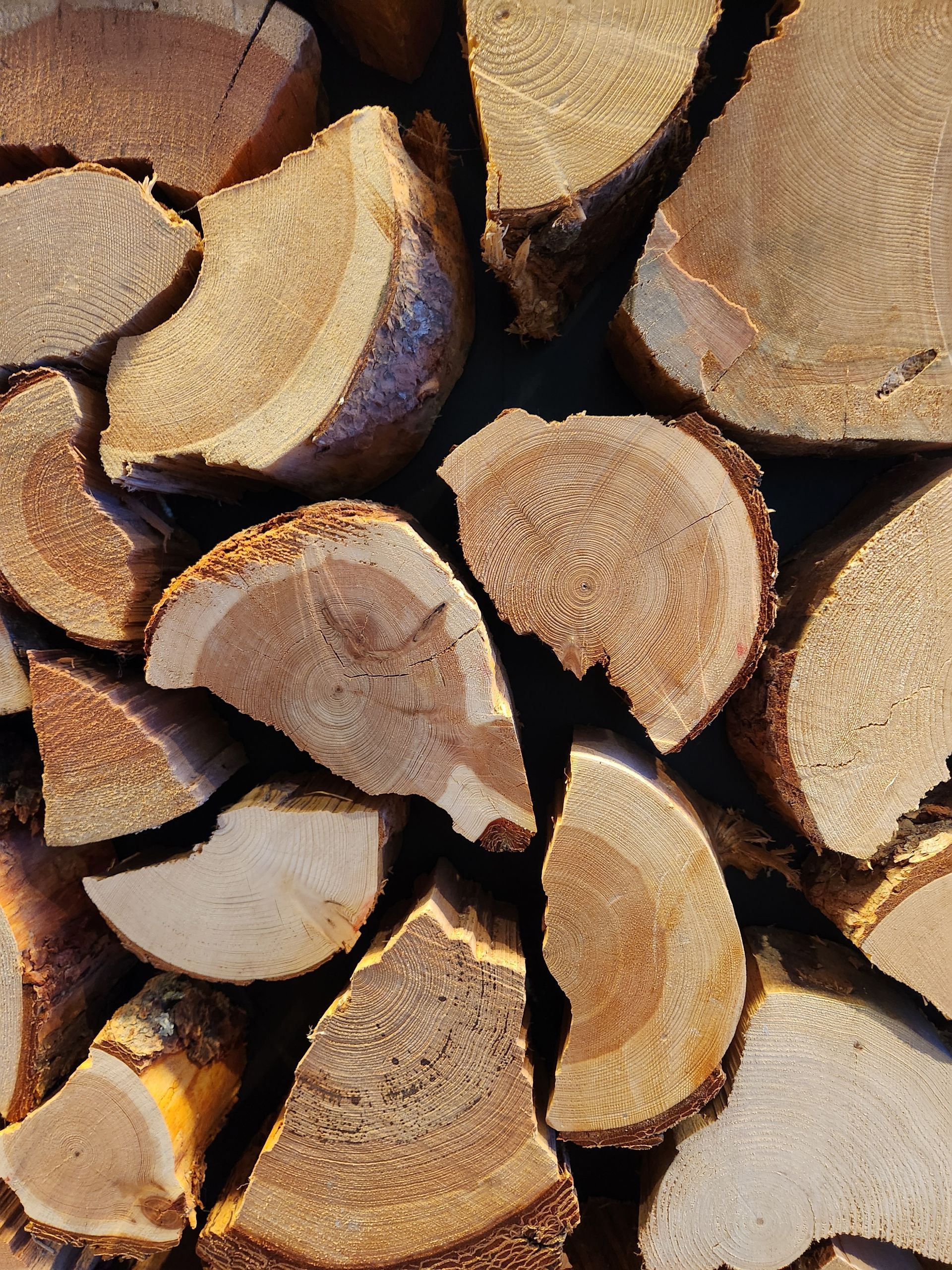 A tree without leaves is in front of a house.