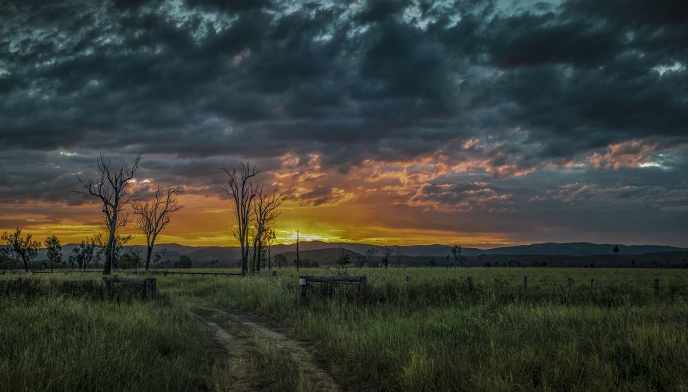 The Sun is Setting Over a Field With Trees and a Dirt Road — Thai Taste Restaurant In Gracemere, QLD