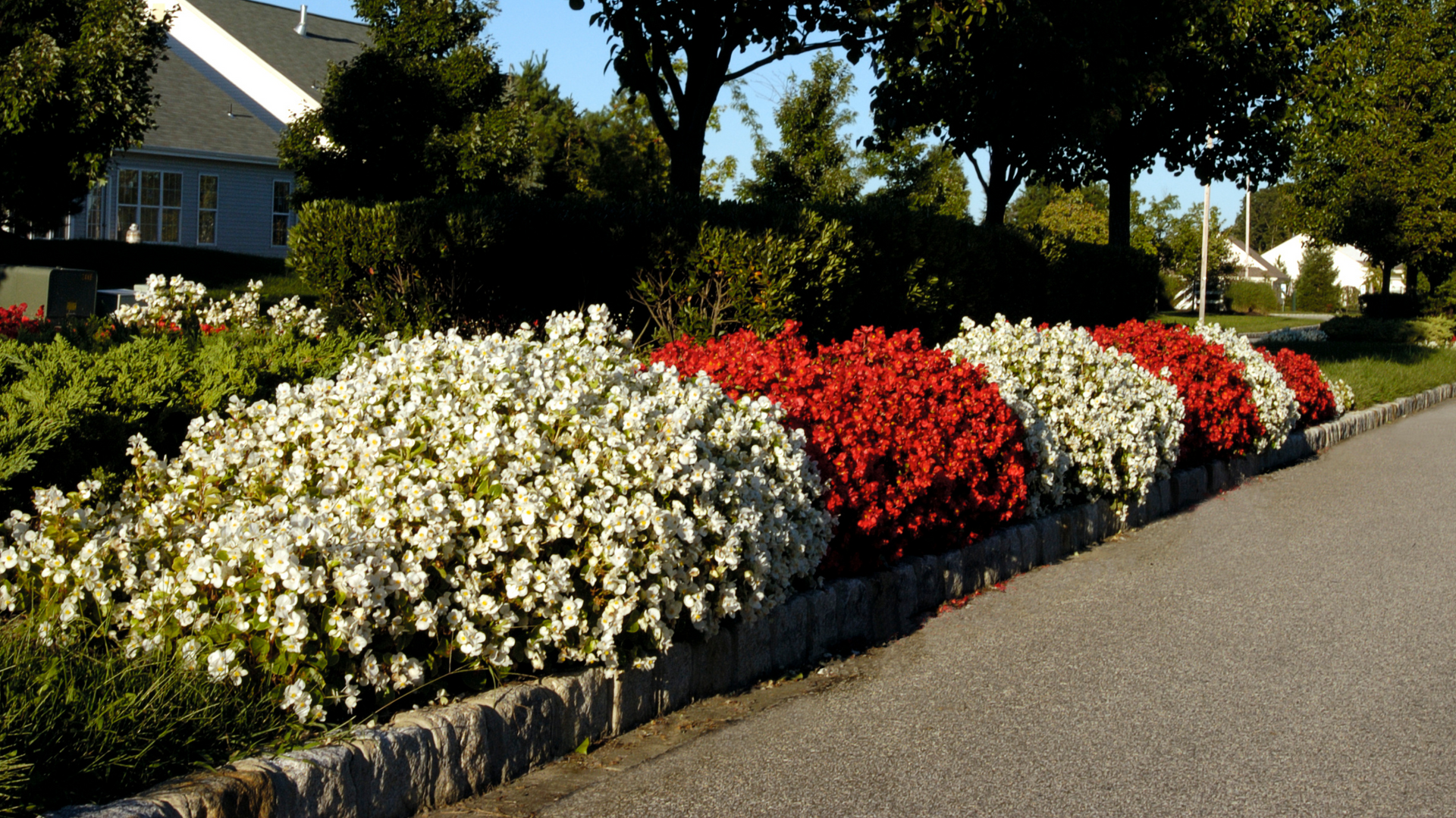Landscaped Floral Walkway