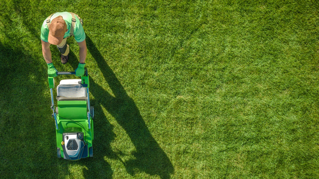 Guy Mowing Lawn