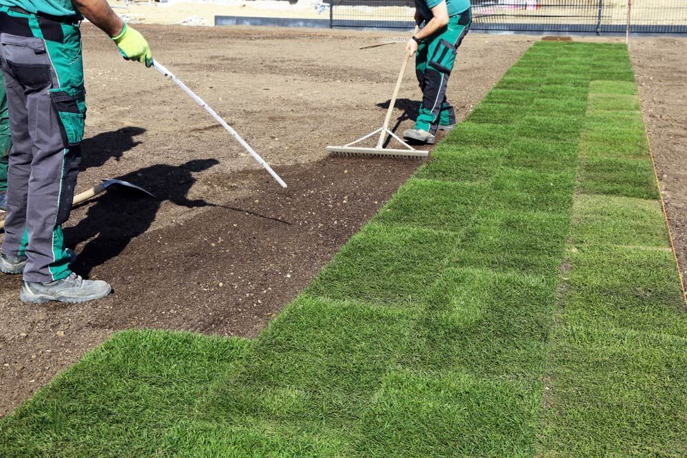Two Men Are Raking A Lush Green Field Of Grass — JohnCorp Property Maintenance In Emerald, QLD