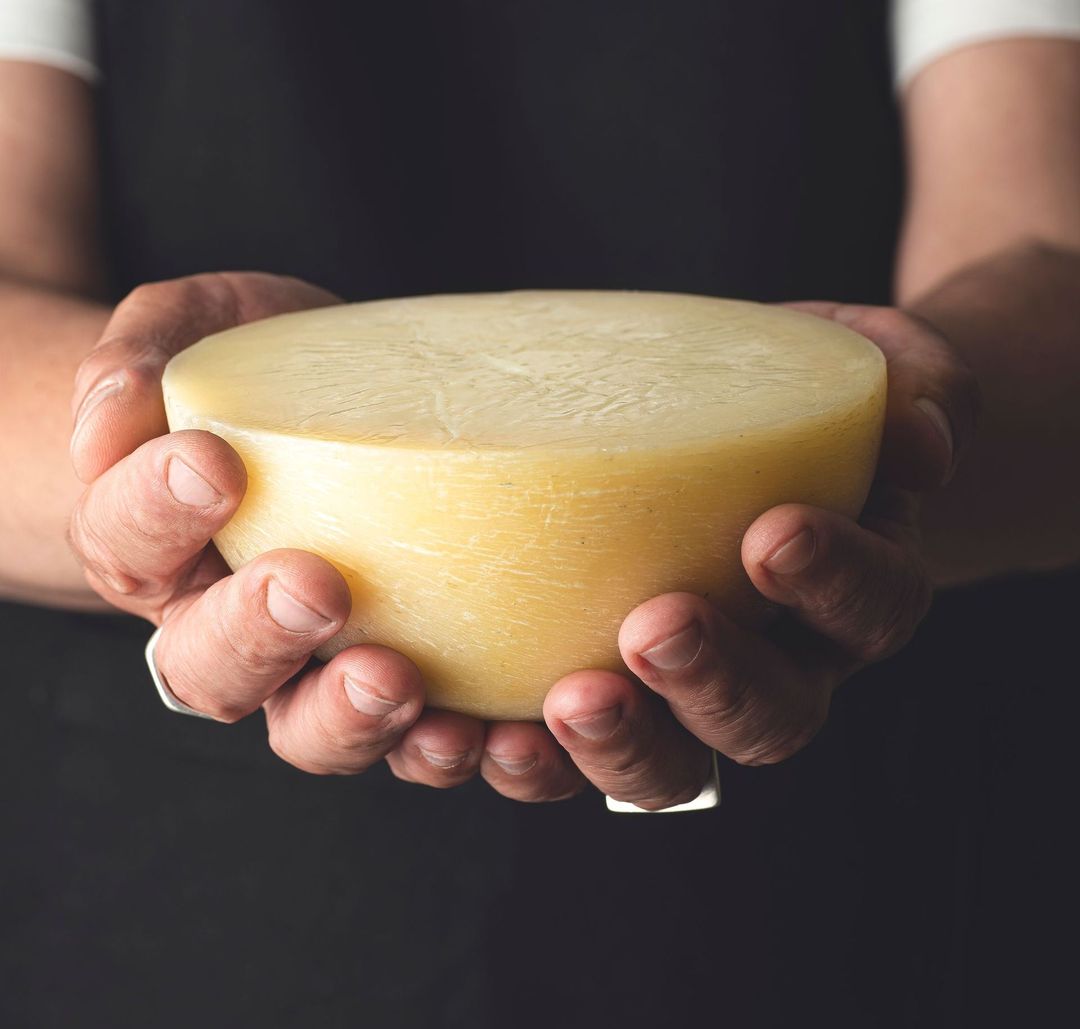 Una persona tiene in mano un pezzo di formaggio.